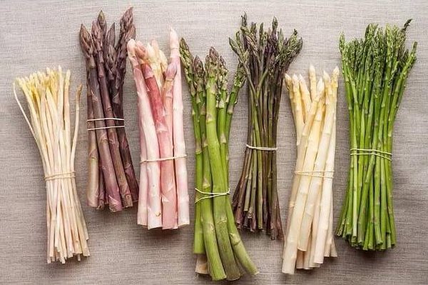 The Chef's Garden by null