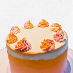 Lovebug Cake
