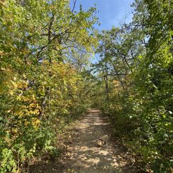 Magee Park, Sugarcreek Park District - The time is coming where you can watch Fall colors happening... so lovely.