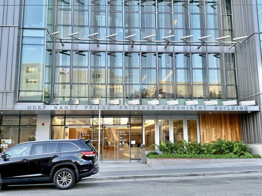 Noe Cafe - Dog Patch by null