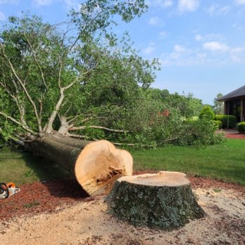 J & W Experienced Tree Services - Tree Services Near Me