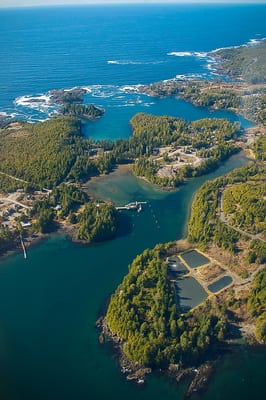The Cabins at Terrace Beach by null