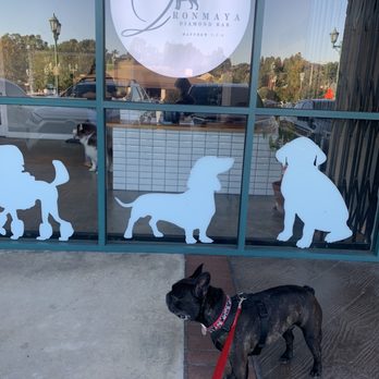 Ironmaya Pet Grooming - Front of the location - couldn't get a photo of both dogs, they were way too excited. - Pet Groomers Near Me - Diamond Bar, California