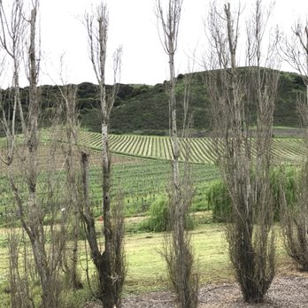 Schug Winery - Wineries Near Me - Sonoma, California