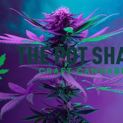 The Pot Shack