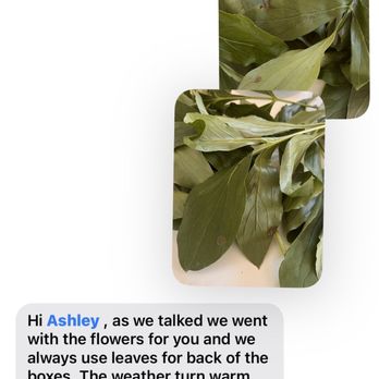 Glamour Flower Boutique - Text from owner stating that flowers quickly die and to remove the dead ones - Florists Near Me Glamour Flower Boutique - Text from owner stating that flowers quickly die and to remove the dead ones - Florists Near Me