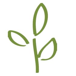 Renewal Massage Clinic - Renewal Massage Clinic