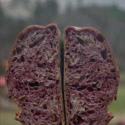 Big Indian Farm