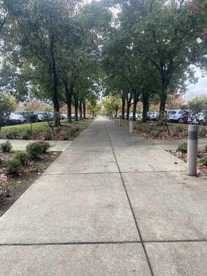 Sutter Roseville Medical Center by null