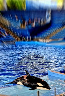 SeaWorld San Antonio by null