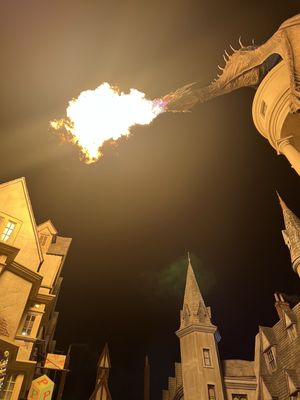Harry Potter and the Forbidden Journey by null