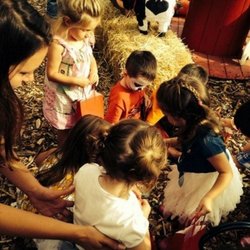 Country Fresh Farm - Birthday parties!!!!