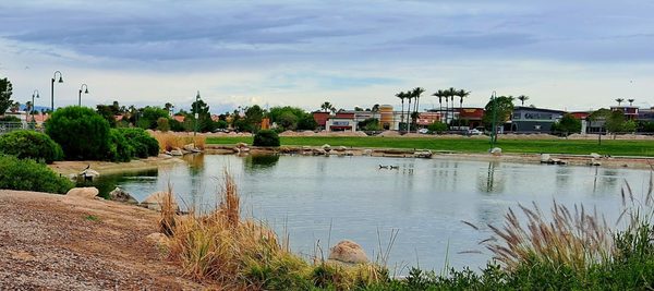Craig Ranch Regional Park by null