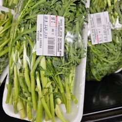 Dragon Star Supermarket - So many greens!! The more varied the diet, the healthier the gut microbiome. This store has variety!