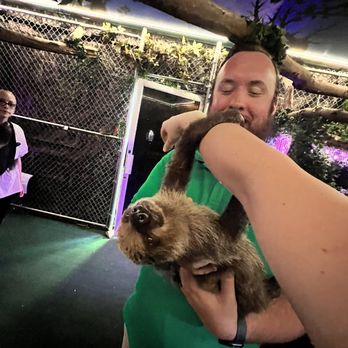 SLOTH ENCOUNTERS - Updated January 2025 - 83 Photos - 551 Veterans