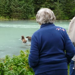 Alaska Nature Tours - This was a wonderful view of a brown bear family feeding on spawning salmon.  Bald Eagles are perched nearby.