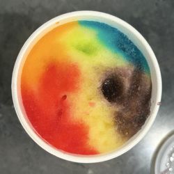 Rainbow frozen ski