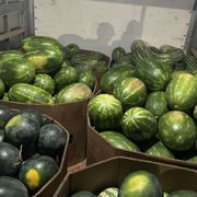 その他 street no.233 234 235 236 237 271 FRUiTS その他 street no.233 234 235 236 237 271 FRUiTS FRUIT KRAZY