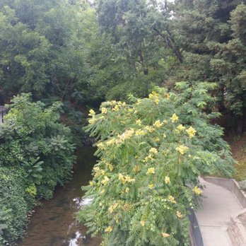 Andrews Park Loop Trail - Hiking Near Me - Vacaville, California