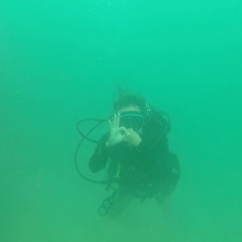 Try Scuba Diving - Honolulu - Gotta learn your hand signals. - Scuba Diving Near Me - Honolulu, Hawaii Try Scuba Diving - Honolulu - Gotta learn your hand signals. - Scuba Diving Near Me - Honolulu, Hawaii