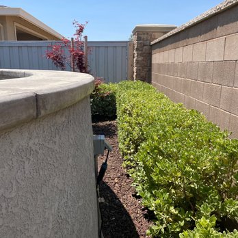 Lantscap Gardening - Perfect! - Lawn Services Near Me - Roseville, California