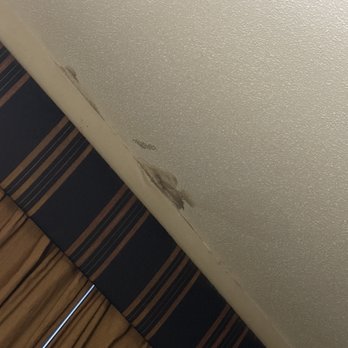Prairie Inn - Mold in ceiling - Hotels Near Me - Vermillion, South Dakota Prairie Inn - Mold in ceiling - Hotels Near Me - Vermillion, South Dakota
