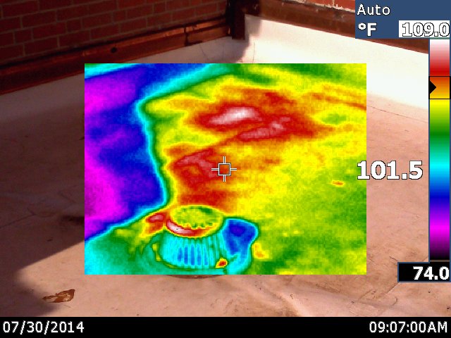 Slide of E. Cornell Malone