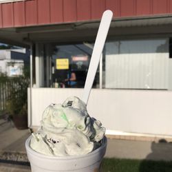 Dairy Bar - Mint Oreo Cookie Wizzard