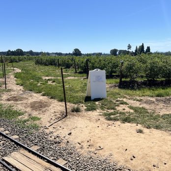 Hoffman Farm Store - Fruits & Veggies Near Me - Beaverton, Oregon