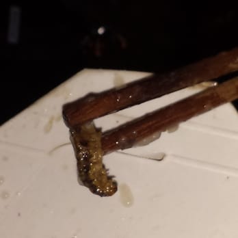Mandarin Grill - It was for sure a caterpillar. We could see the little hairs and everything. - Chinese Near Me - Tucson, Arizona