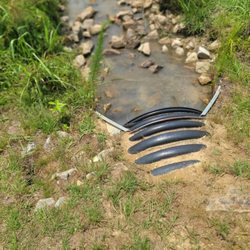 Angier Recreation Park - Small creek with turtles