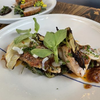 Rich Table - Rock cod - New American Near Me - San Francisco, California