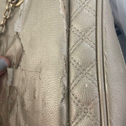Spartina 449