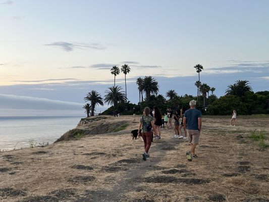 Palos Verdes Estates Shoreline Preserve by null