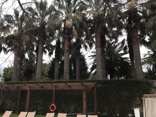 Hotel Mediterraneo Sorrento by null