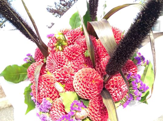 Federal Way Farmers Market by null