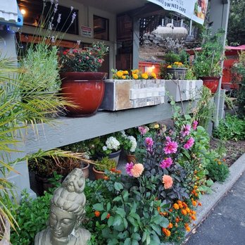 Arti Cafe Lagunitas - Storefront - Indian Near Me - Lagunitas-Forest Knolls, California