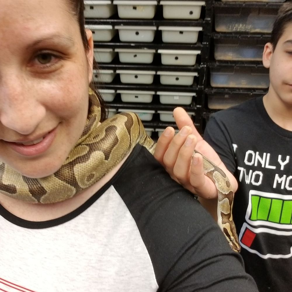 401 Reptiles - Reptile Shops Near Me - West Warwick, Rhode Island