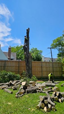 🌳 Tree Removal - Safety is our priority! We safely remove trees to keep your property protected from hazards.
From wild limbs to stubborn stumps, we tame it all.
📍 Serving Carrollton, TX 75007 📞 (214) 676-4540 🌳 Tree Removal - Safety is our priority! We safely remove trees to keep your property protected from hazards.
From wild limbs to stubborn stumps, we tame it all.
📍 Serving Carrollton, TX 75007 📞 (214) 676-4540