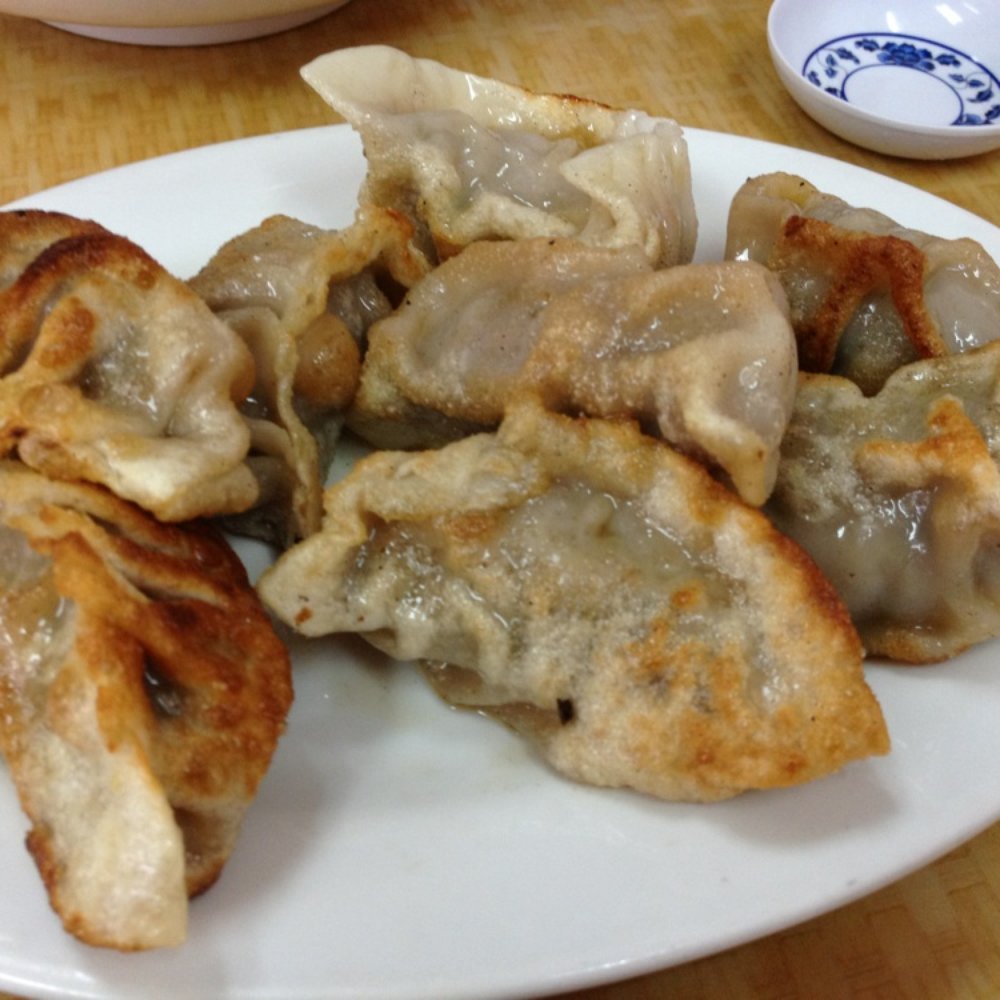 Hand Pull Noodle and Dumpling House - Pan-fried dumpling - Chinese Near Me - Brooklyn, New York Hand Pull Noodle and Dumpling House - Pan-fried dumpling - Chinese Near Me - Brooklyn, New York