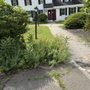 Photo of Spring Hill Inn