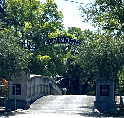 Elmwood Cemetery by null