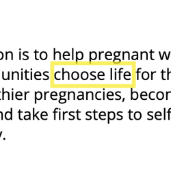 Women’s Care Center - This is from the website they show donors but not clients.