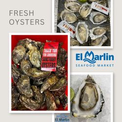 El Marlin Seafood Market - Fresh Oyster $1.25 ea large size.