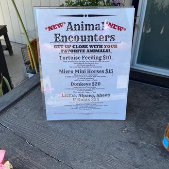 Sugarplum Zoo - New Animal Encounter Fees - Chocolatiers & Shops Near Me - Temecula, California