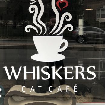Whiskers Cat Cafe - Themed Cafes Near Me - Kansas City, Missouri Whiskers Cat Cafe - Themed Cafes Near Me - Kansas City, Missouri