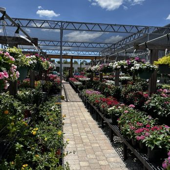 The Garden Place - Outside portion - Nurseries & Gardening Near Me - Estero, Florida The Garden Place - Outside portion - Nurseries & Gardening Near Me - Estero, Florida