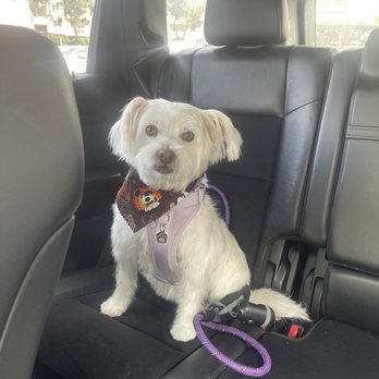 Preferred by Pets - Pet Groomers Near Me - San Diego, California Preferred by Pets - Pet Groomers Near Me - San Diego, California