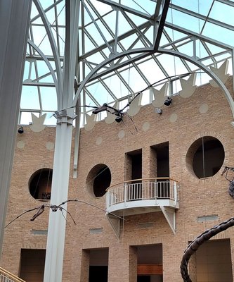 Fernbank Museum | 3D Theater | Forest by null