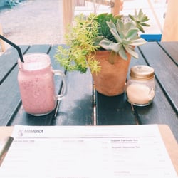 Mimosa